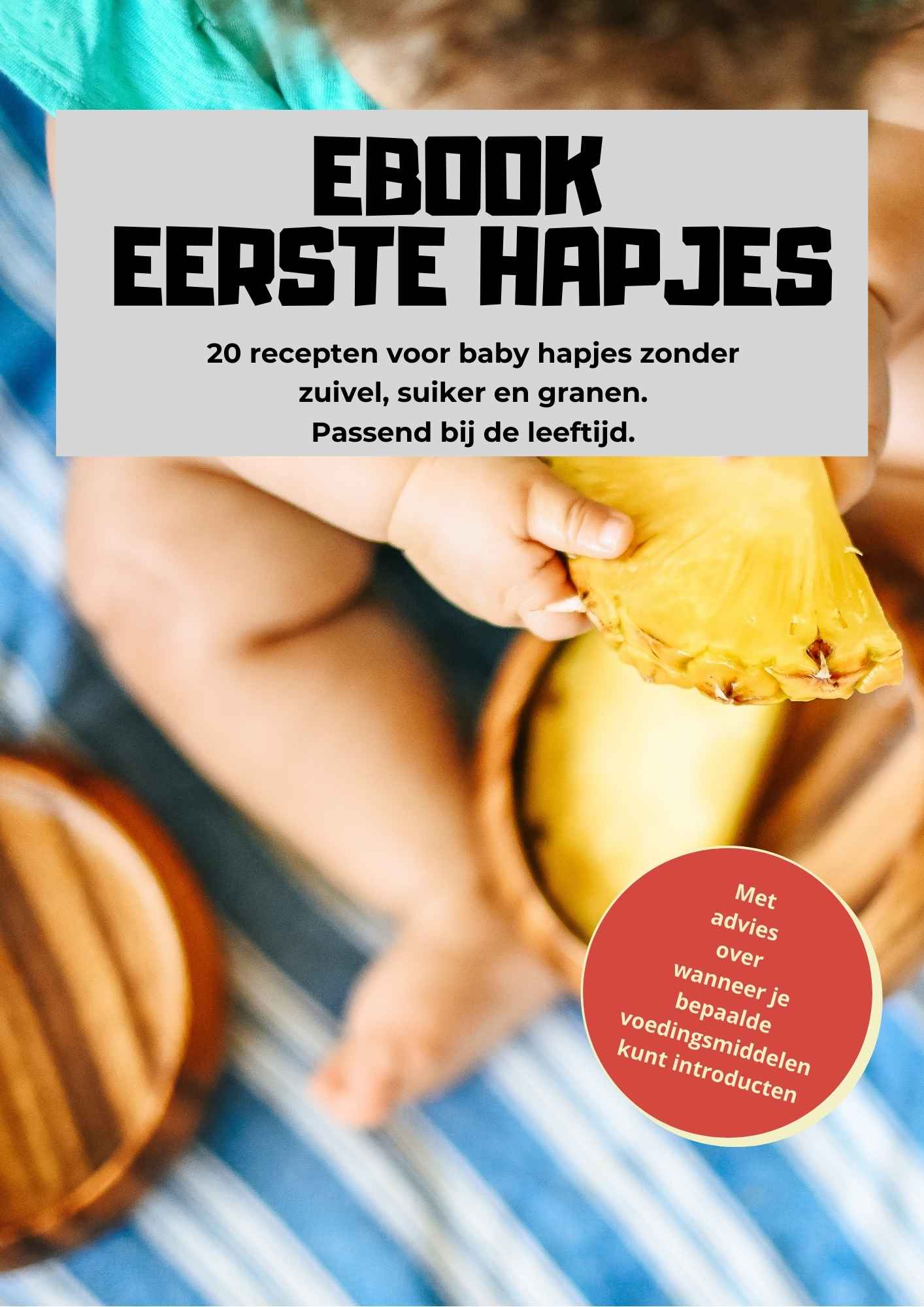 babyvoeding ebook eerste hapjes